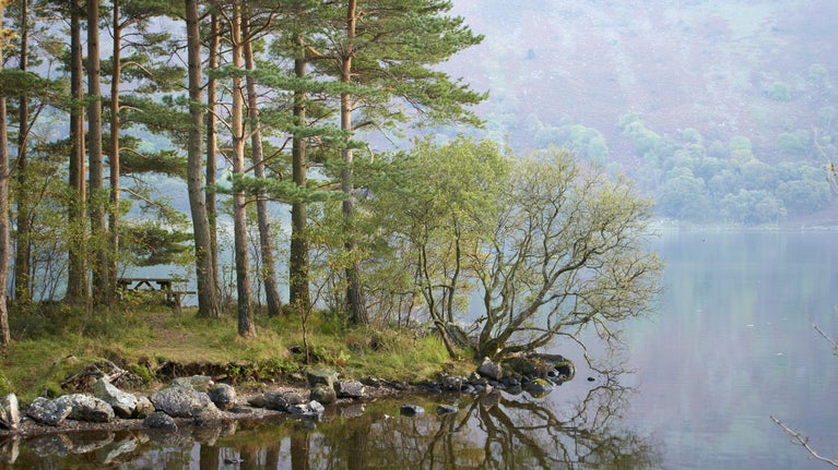Trees on the bank reflecting in the water at Ennerdale Water, Cumbria